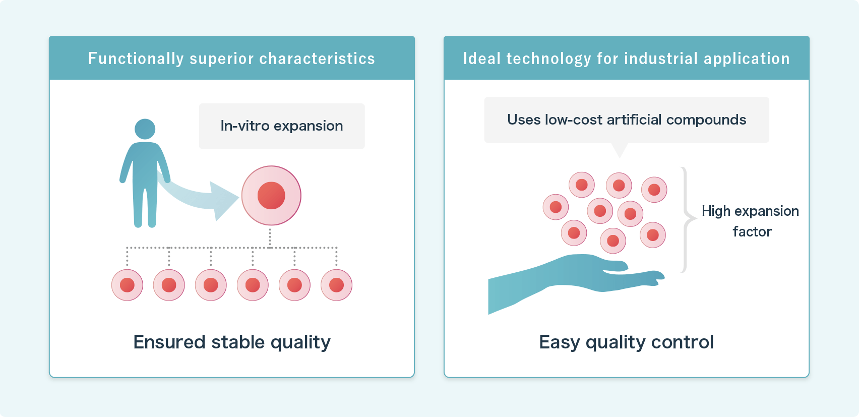 Further, HSCs can be expanded in-vitro, regardless of their origin, whether umbilical cord blood, bone marrow or peripheral blood.