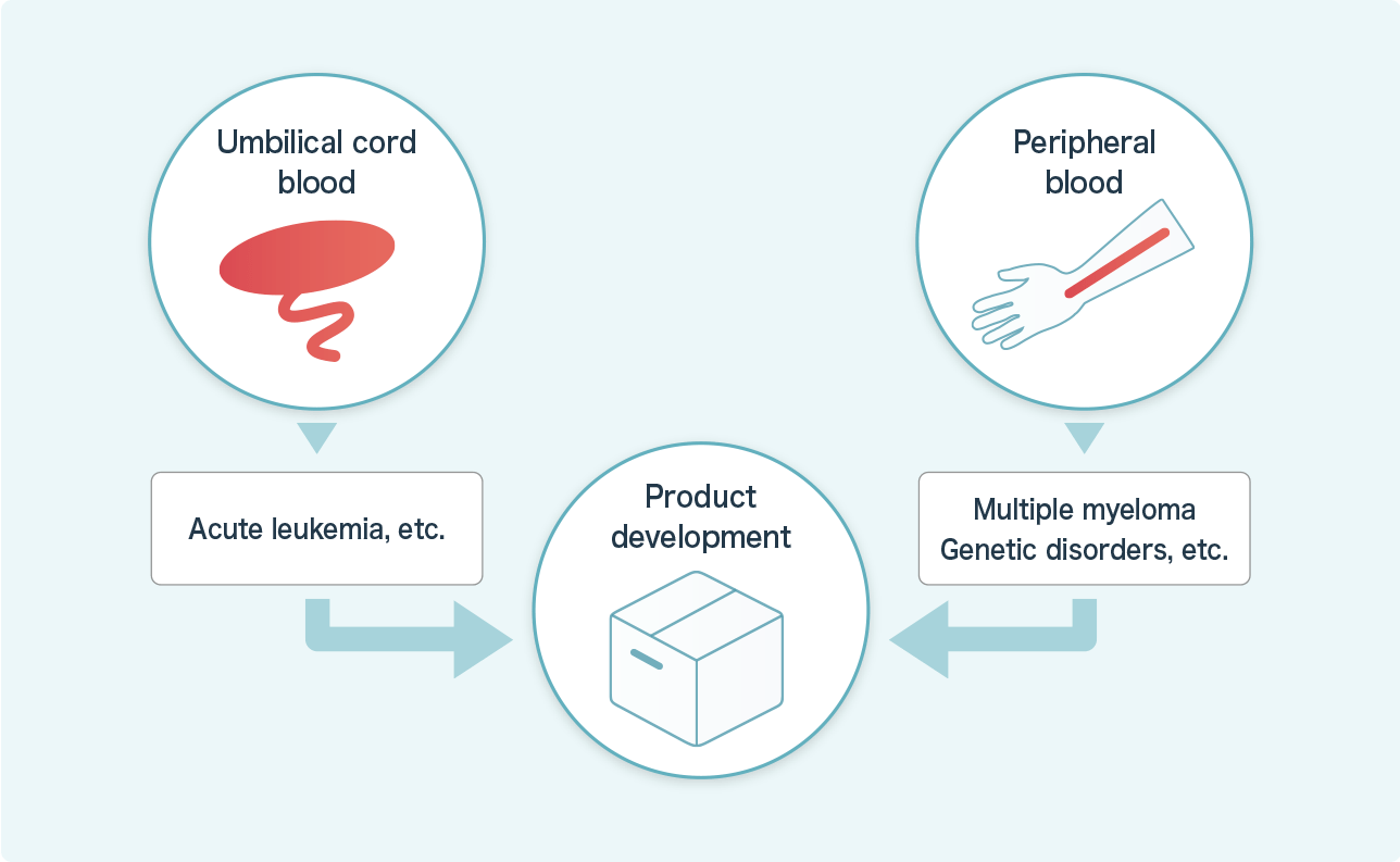 From the very practical standpoint of in-vitro expansion of HSCs, we plan to develop and commercialize HSC regenerative medical treatments that are safer and of higher quality than current therapies.