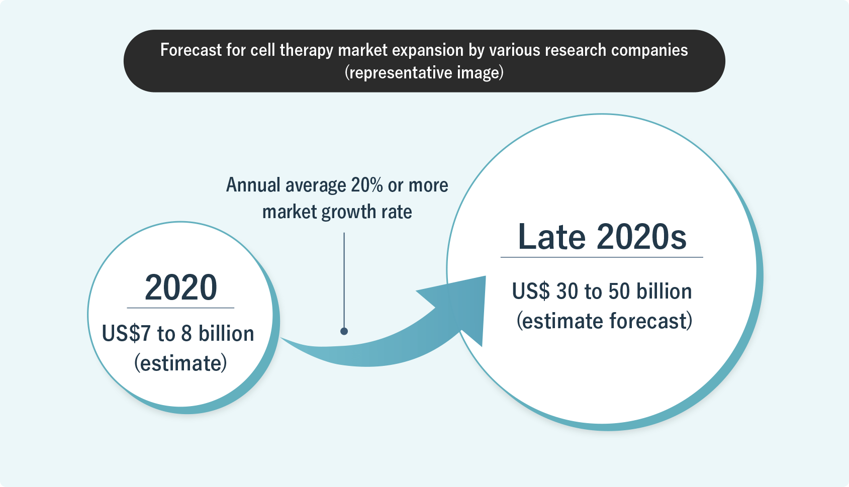 Support for regenerative medicine and drug