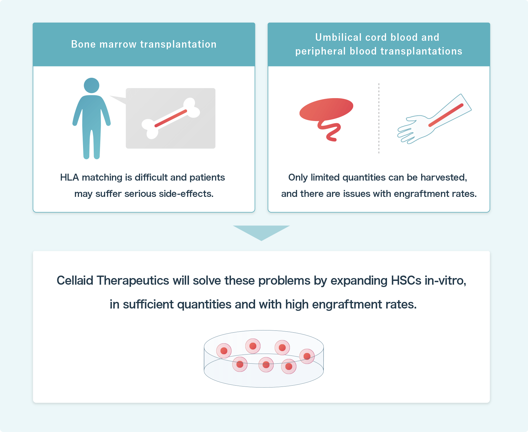 Challenges in hematopoietic stem cells transplants